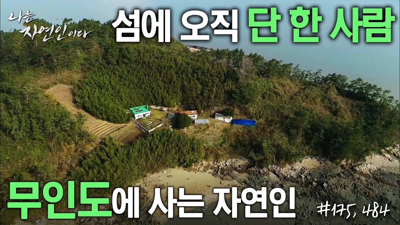 [자연집] 섬에 오직 단 한 사람, ‘무인도’에 사는 자연인들의 집