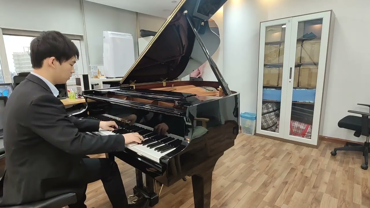 Chopin's Etude Winter Wind Op.25 No.11