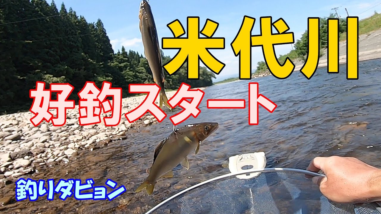 【青森 鮎釣り】米代川で好釣スタート