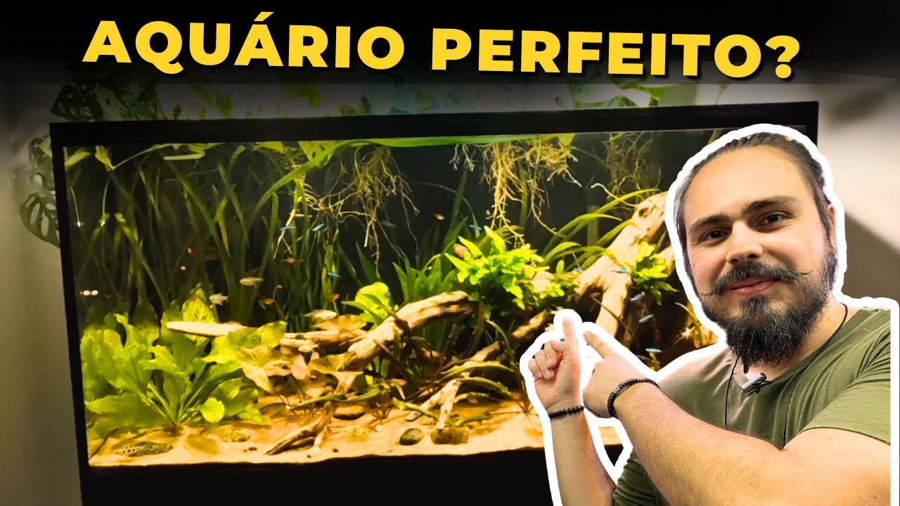 🔴O AQUÁRIO 10/10 DO INSCRITO JOHNNY |Mr. Betta|