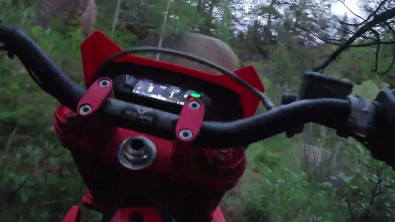 Arctic Leopard EXE880 Single Track