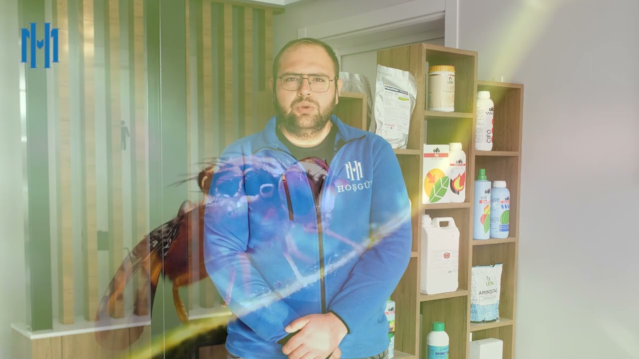 Cennet elması (Trabzon Hurması) yetiştiriciliğinde dikkat edilmesi gerekenler