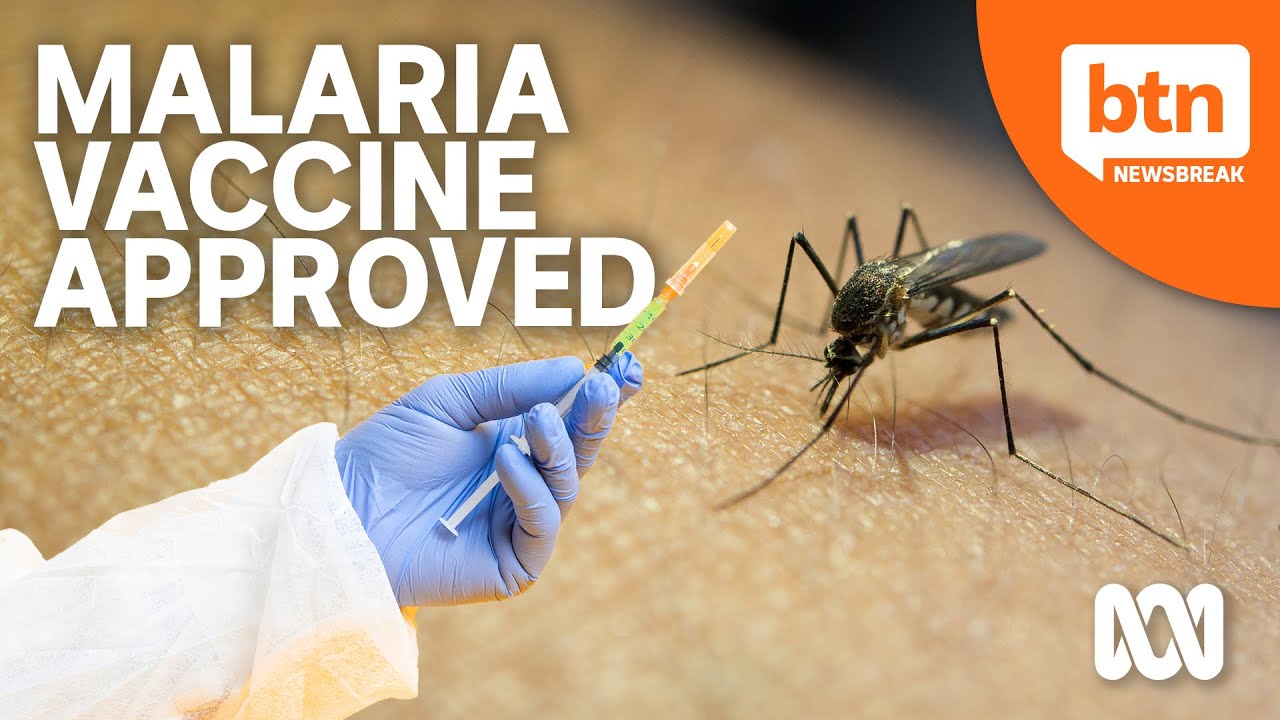 The World Health Organisation Approves A Vaccine for Malaria