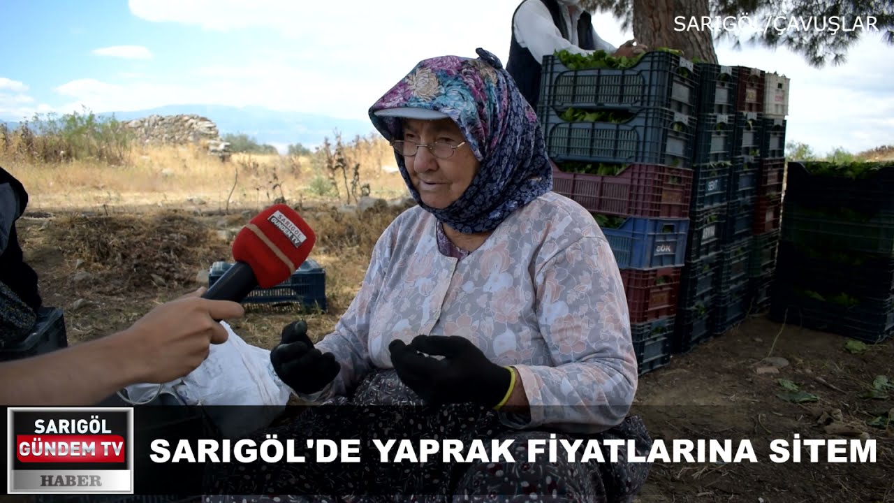 SARIGÖL'DE YAPRAK FİYATLARINA SİTEM