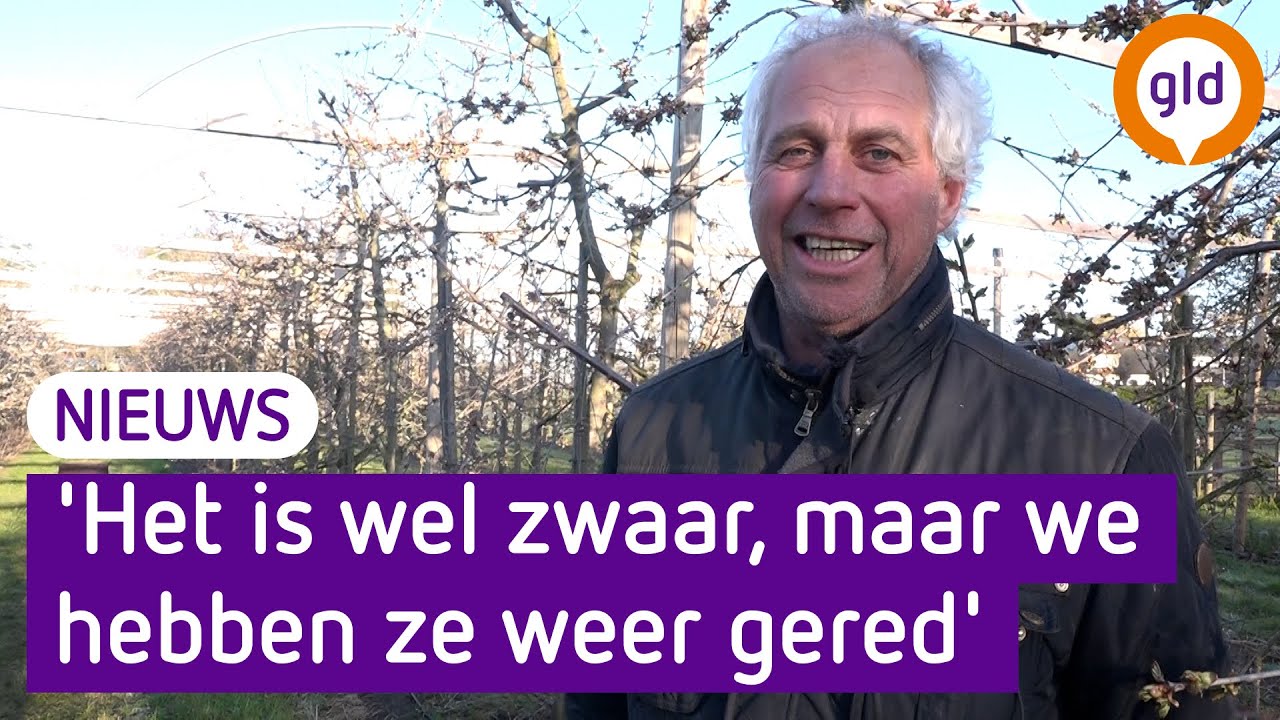 Theo vecht tegen de slaap en kou om zijn kersen te beschermen