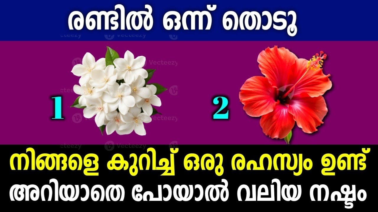 രണ്ട് പുഷ്പങ്ങളിൽ ഒന്ന് തിരഞ്ഞെടുക്കൂ... നിങ്ങളെ കുറിച്ച് ചില രഹസ്യങ്ങൾ പറയാം...