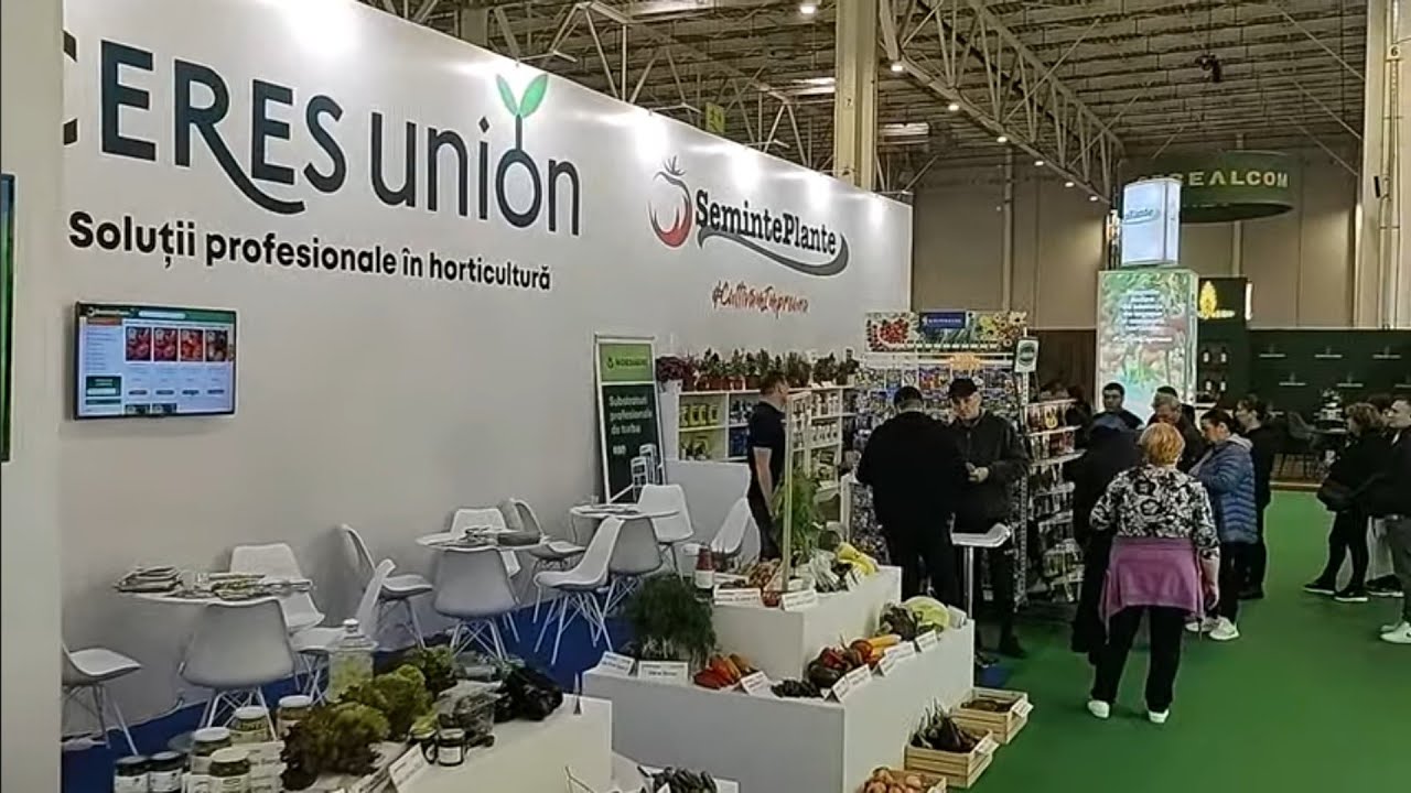 Cum să ai culturi sănătoase de roșii în 2025!