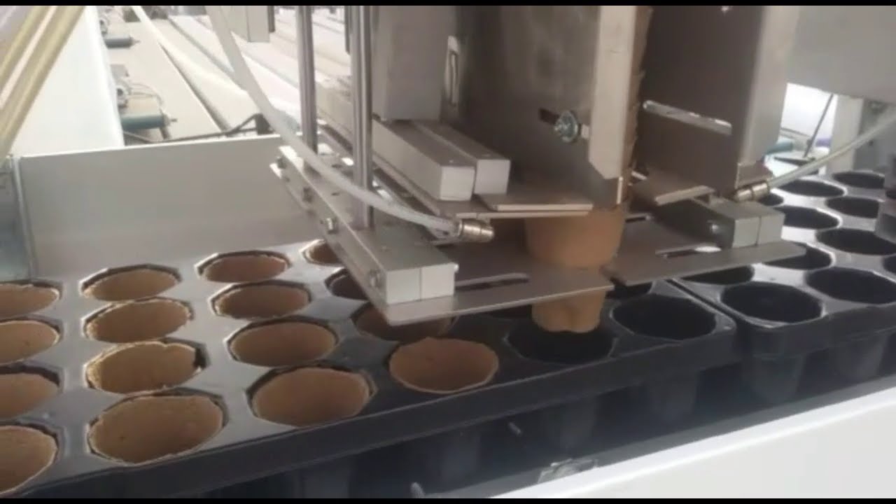Fertilpot Automation into Trays | FERTIL