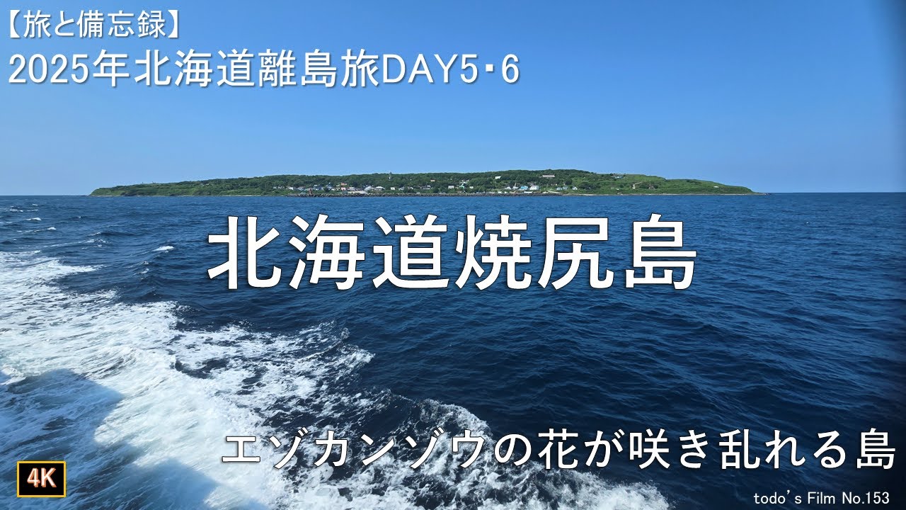 北海道焼尻島[エゾカンゾウの花が咲き乱れる島]【2025年北海道離島旅DAY5・6】