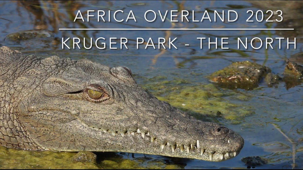 2023 - Kruger Park - The North, South Africa - 26 April - 9 May