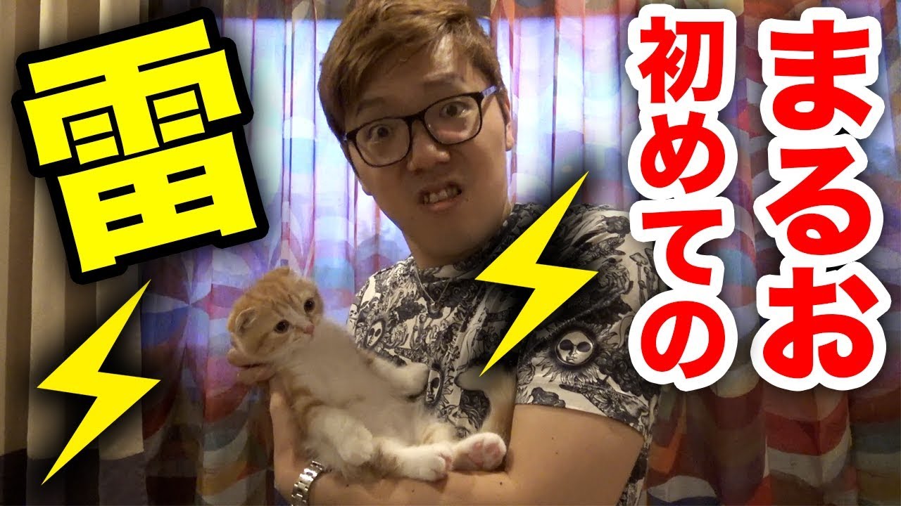 まるお、初めての雷でまさかの…【まるおの成長日記 #7】