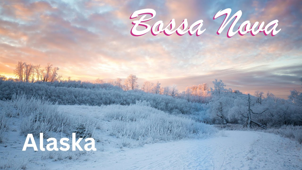 BOSSA NOVA　Alaska【☕Café BGM🎵】