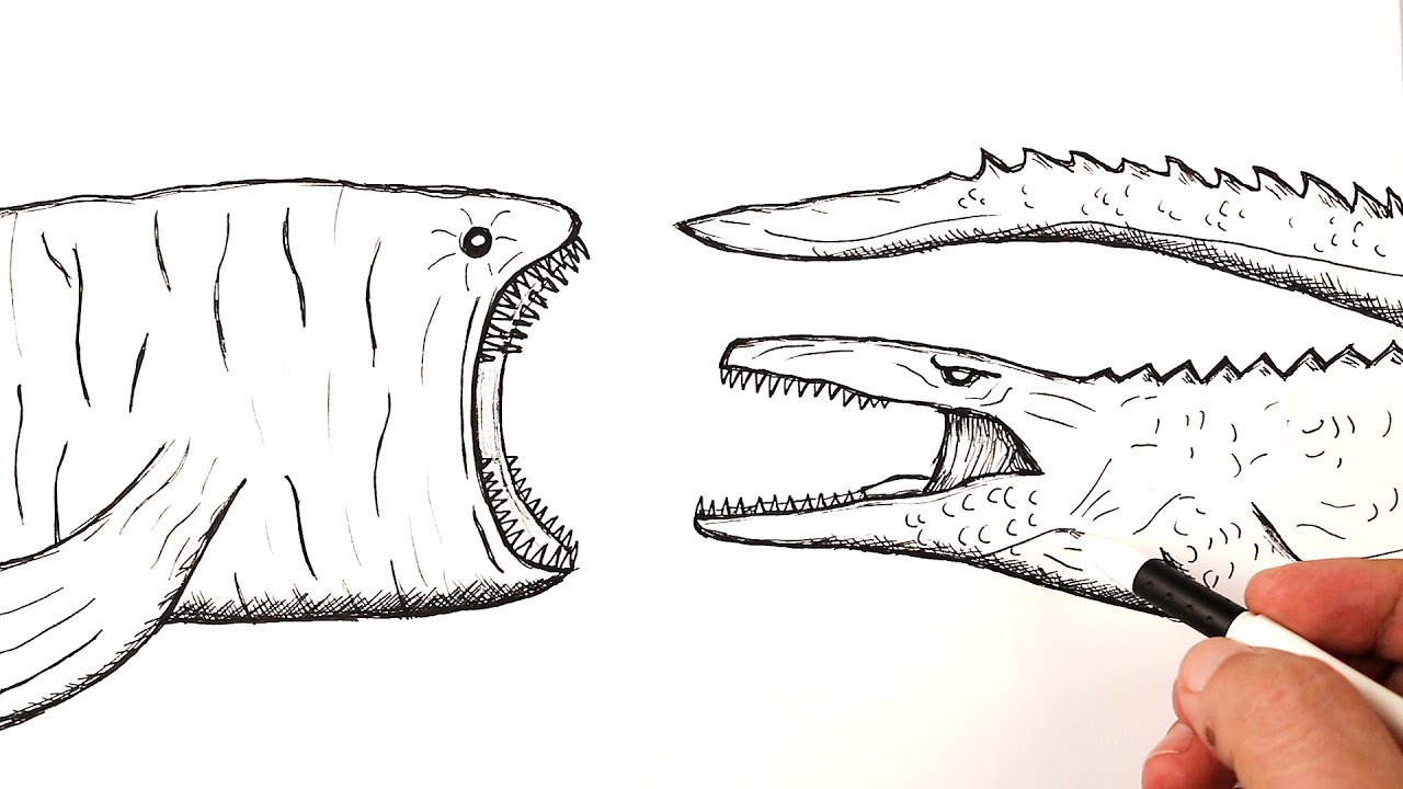 How to draw a Bloop attacking Mosasaurus