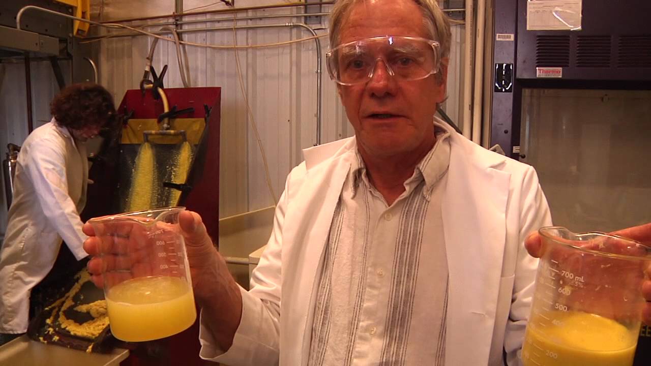 MycoMeal Fungal Process-Microwave Dryer