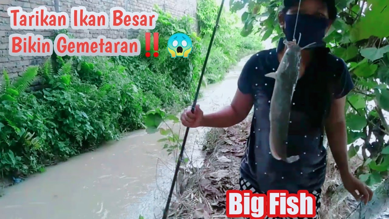 Fishing 2022 - Najnowszy Fishing Fishing 2022 - Fishing Mania 2022 - Fishing Big Tensions‼️