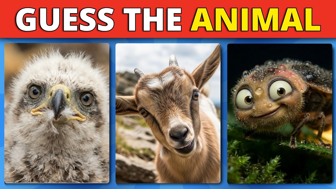 Guess the Animal | From Cute to Wild?