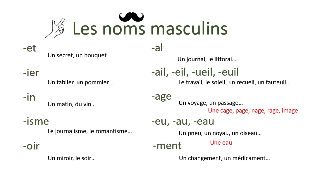 Masculin féminin des noms en français
