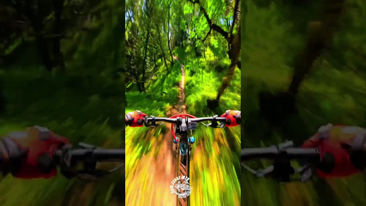 Curl of the Burl Briones Regional Park #bicicletademonta&ntilde;a #mtb #enduro #downhill