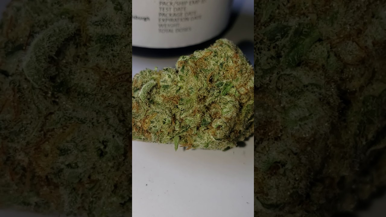 👨&zwj;🦲💨Medical Marijuana Review #67 : Mob Boss : Farmaceutical RX ( Chemdawg D &times; Tang Tang )
