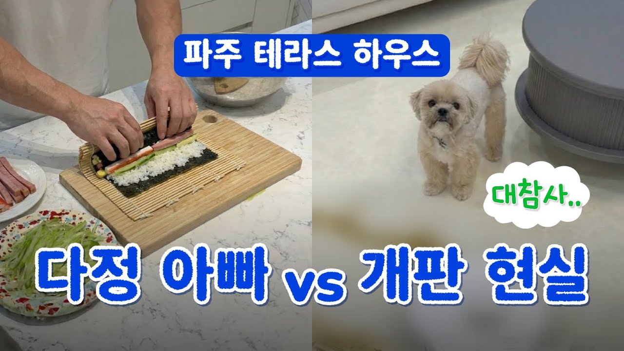 요리해 주는 남편, 테라스, 그리고 ... 로봇청소기가 똥칠한 집...💩 파주 테라스 하우스 강아지 추천템 7종 소개 ｢ 밥은 멍고 다니냥 ｣