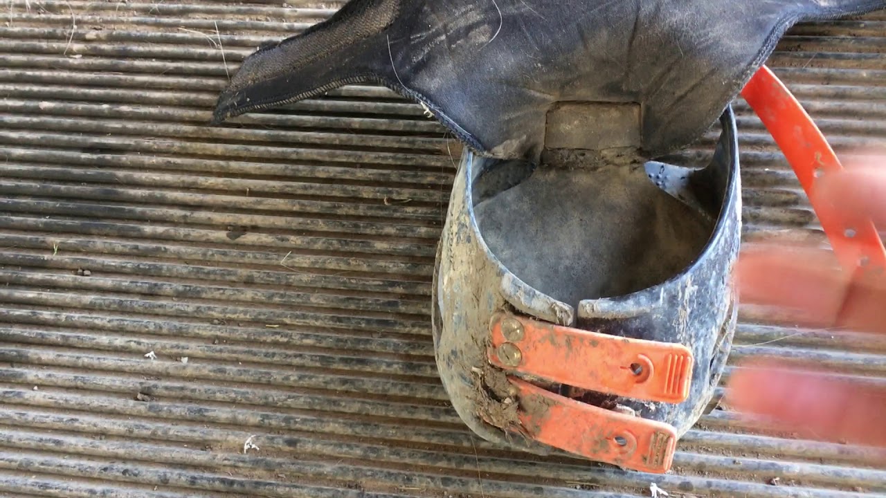 Endurance Gaiters