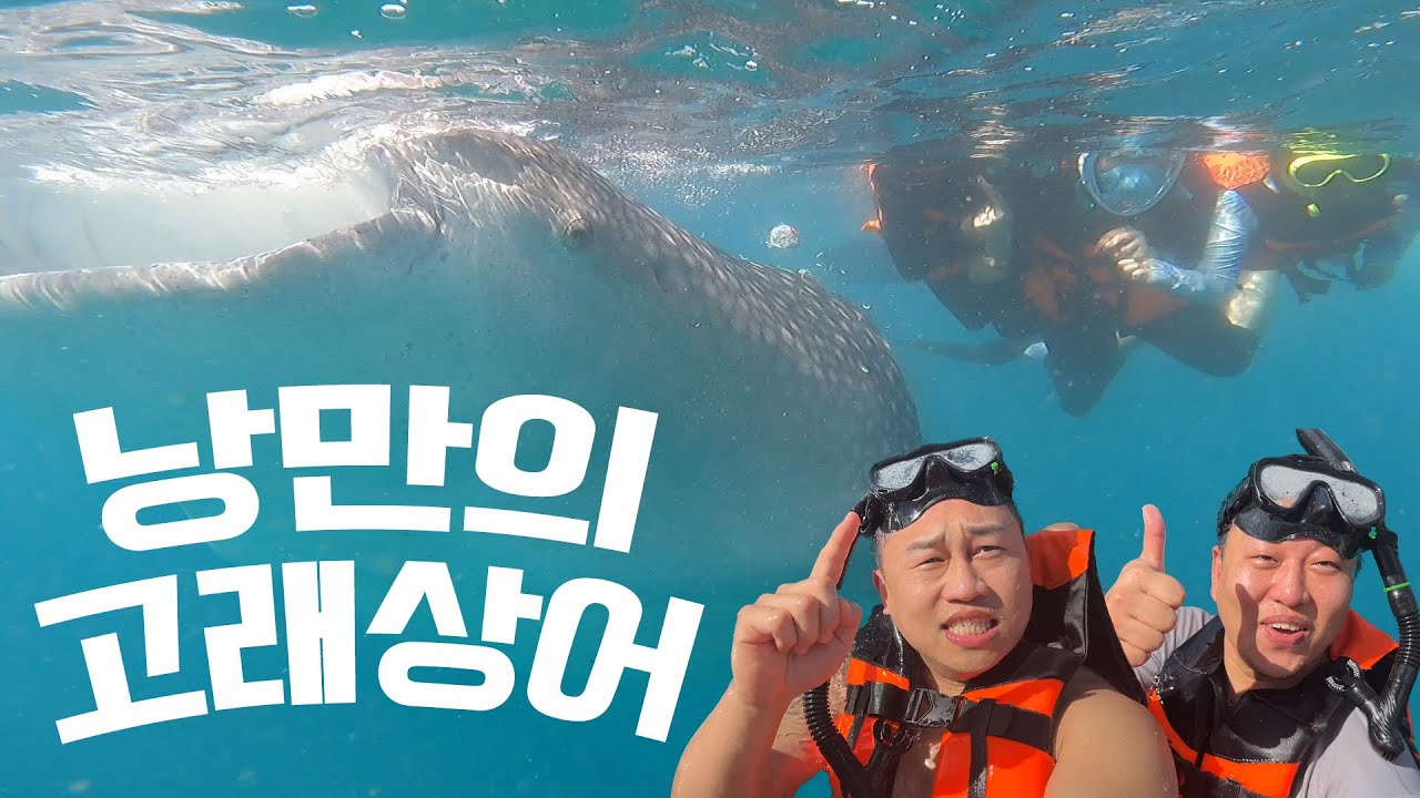 남자 넷이 떠나는 해외여행 - 필리핀 보홀(1)