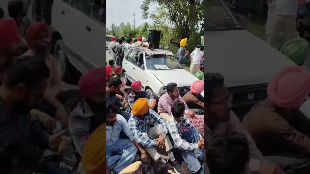 Master cadre /Lecture cadre Protest live