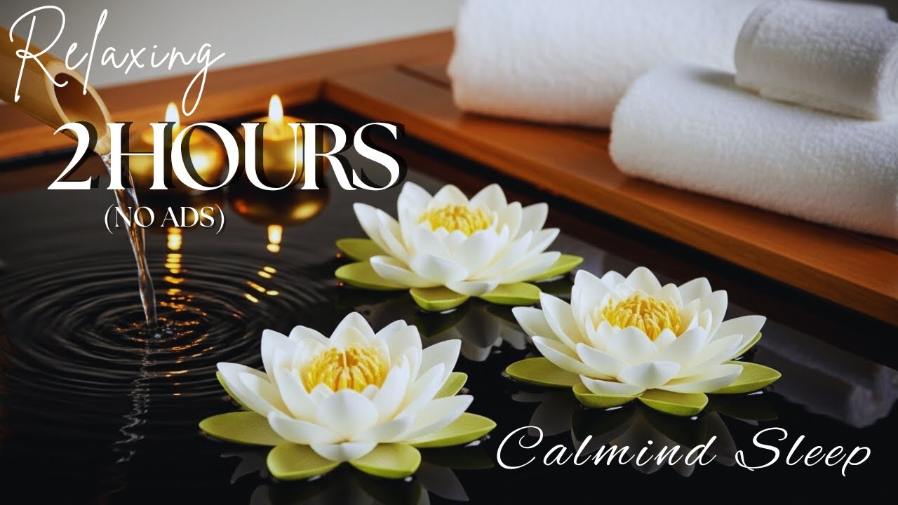 Lotus & Bamboo Water 🌿 Stop Overthinking, Relax the Mind, Meditation & Sleep Music