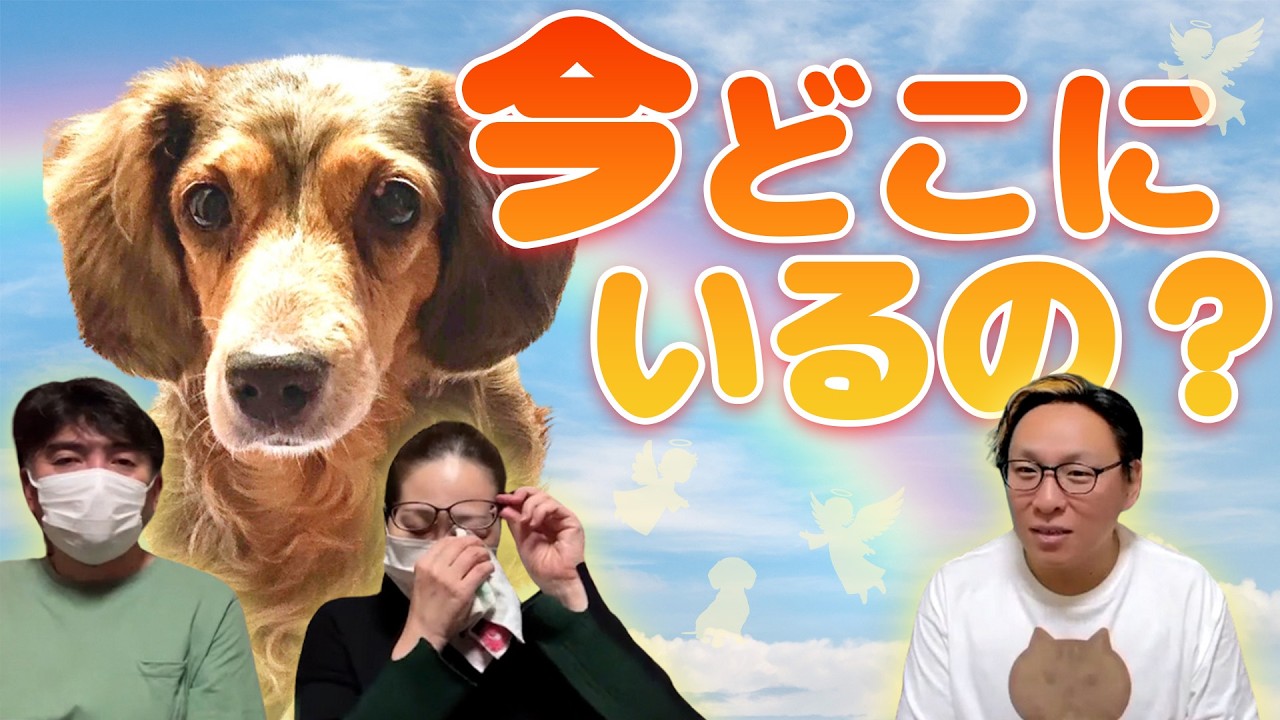 【感動】亡くなった子と話してみた