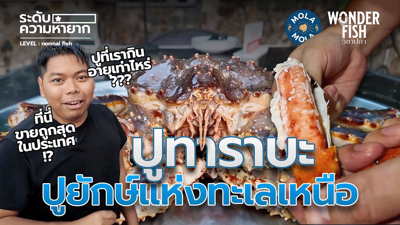 รู้จักกับ 