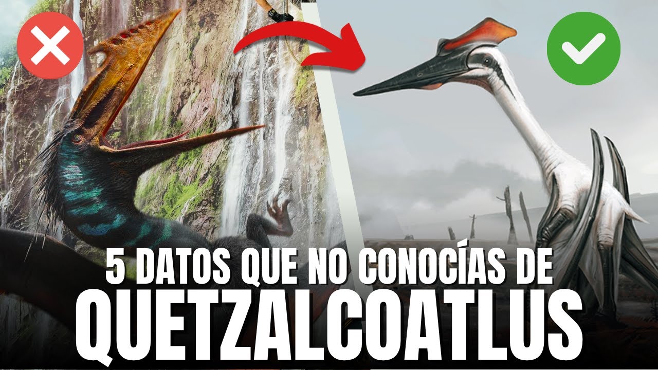 Quetzalcoatlus: 5 cosas que NADIE te cuenta sobre este coloso del aire