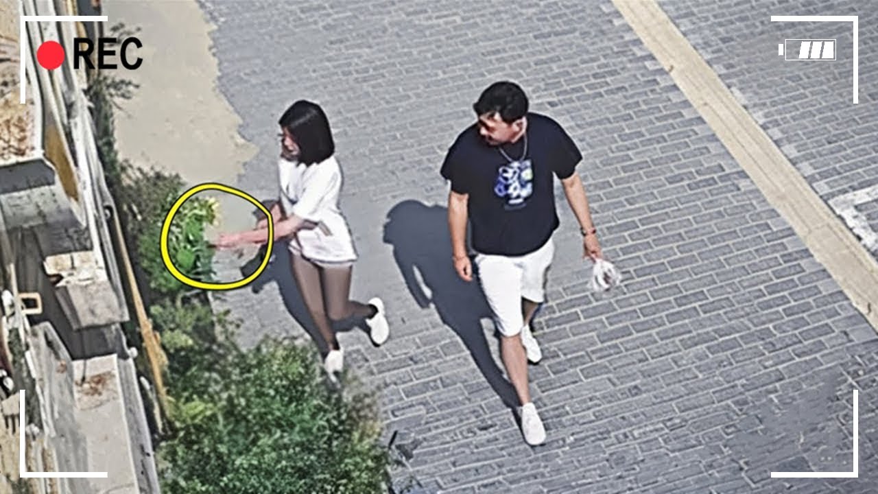 撮影しなければ決して見られない映像43選！