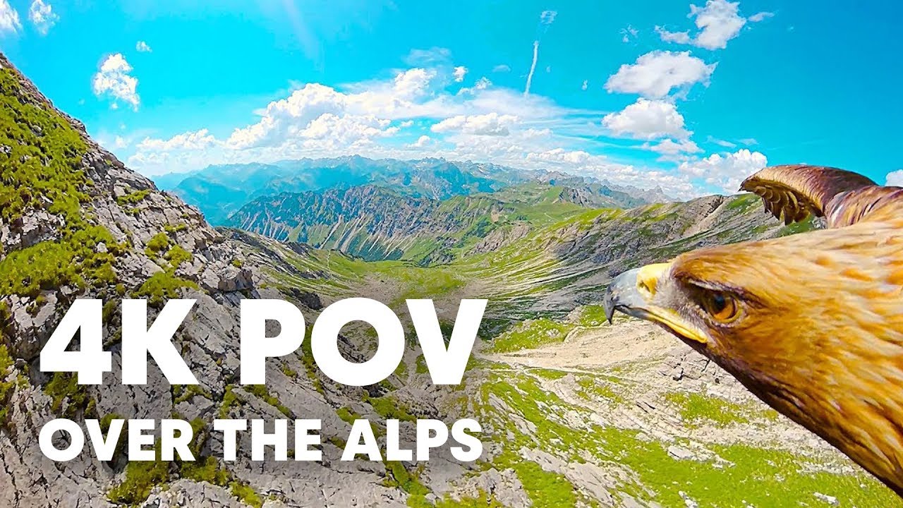 Breathtaking Eagle POV Flying Over The Alps in 4K
