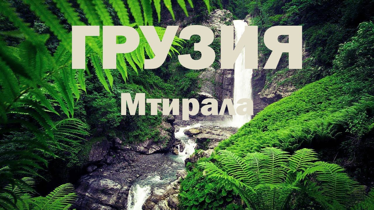 2. ВЛОГ Грузия, добираемся до парка Мтирала в горы сквозь джунгли! Купались в прекрасном водопаде!)