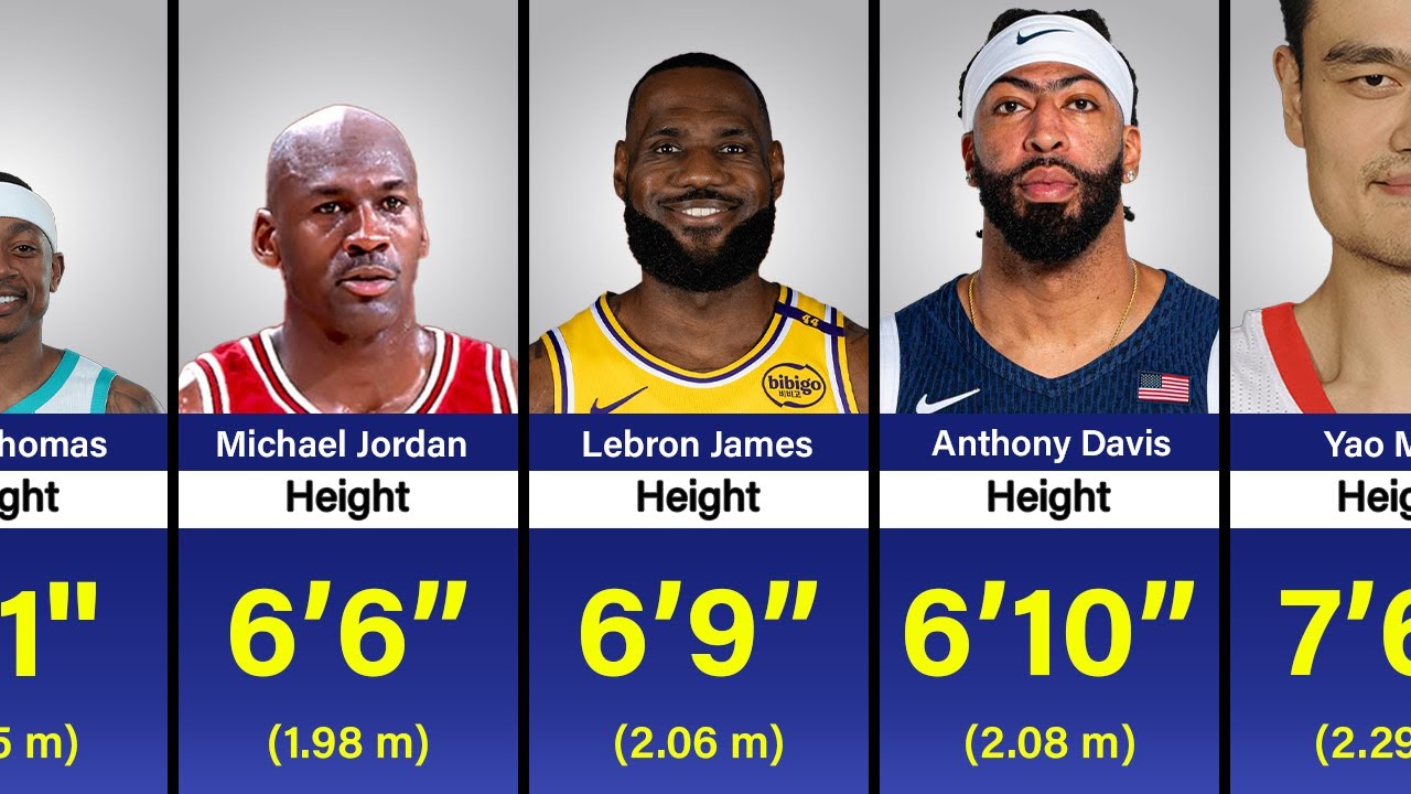 Surprising Height of NBA Players in 2025