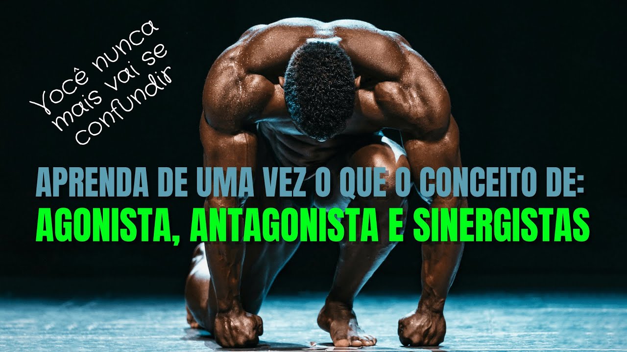 Anatomia Muscular: Agonista, Antagonista e Sinergista SEM COMPLICAÇÃO!