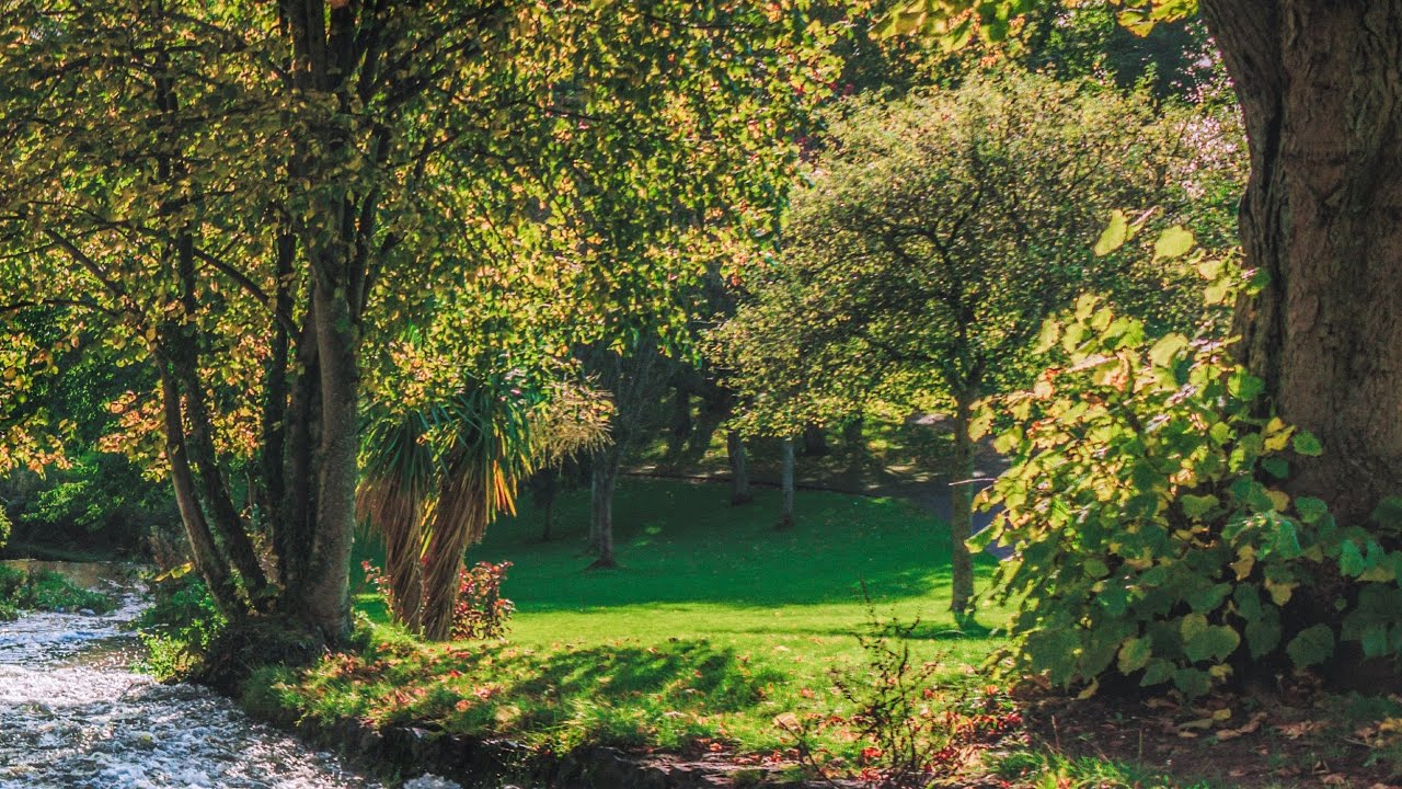 Down by the Salley Gardens | lyrics | Lisa Dawson | Irish traditional song | piano