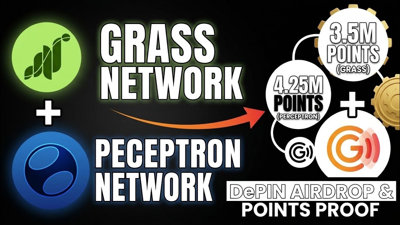 Grass Network Allocation Scam? 3.5M Points = $1.50 😡 | Perceptron Network 4.25M Update!