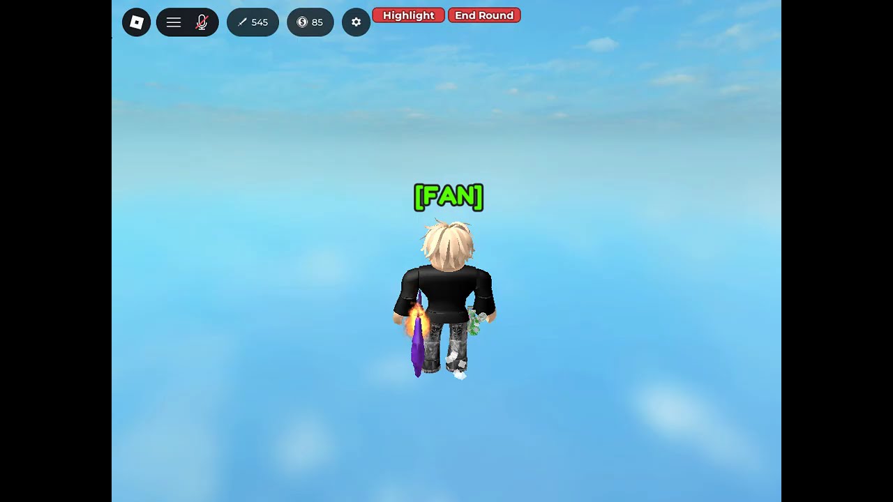 my aim in mm2 aim tranier....