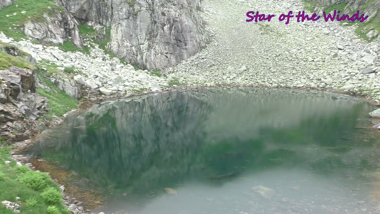 # 381 2024-07-18 CSG - Kozia Przełęcz - D5SP Zakopane Poland(13)(V)