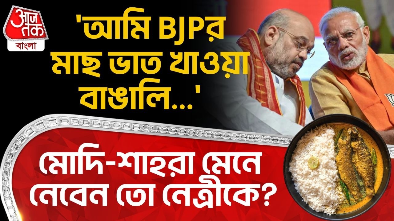 'আমি BJPর মাছ ভাত খাওয়া বাঙালি...' Modi-Amit Shahরা মেনে নেবেন তো নেত্রীকে? Locket Chatterjee | PN