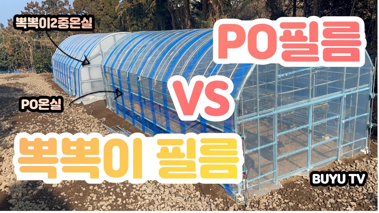 비닐하우스 비닐 종류가 참 많죠? PO필름과 뽁뽁이 비닐을 사용해 보았어요^^