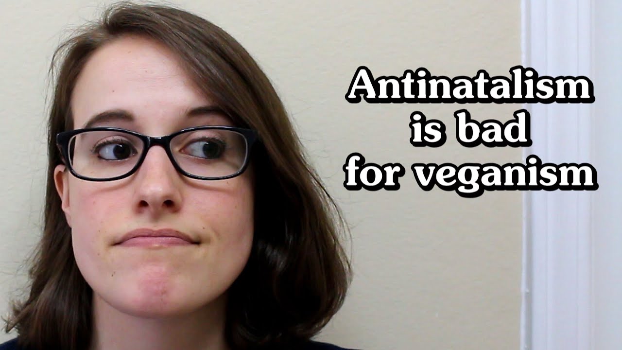 Freelee & Durianrider don't want kids (antinatalism & self-absorbed vegans)