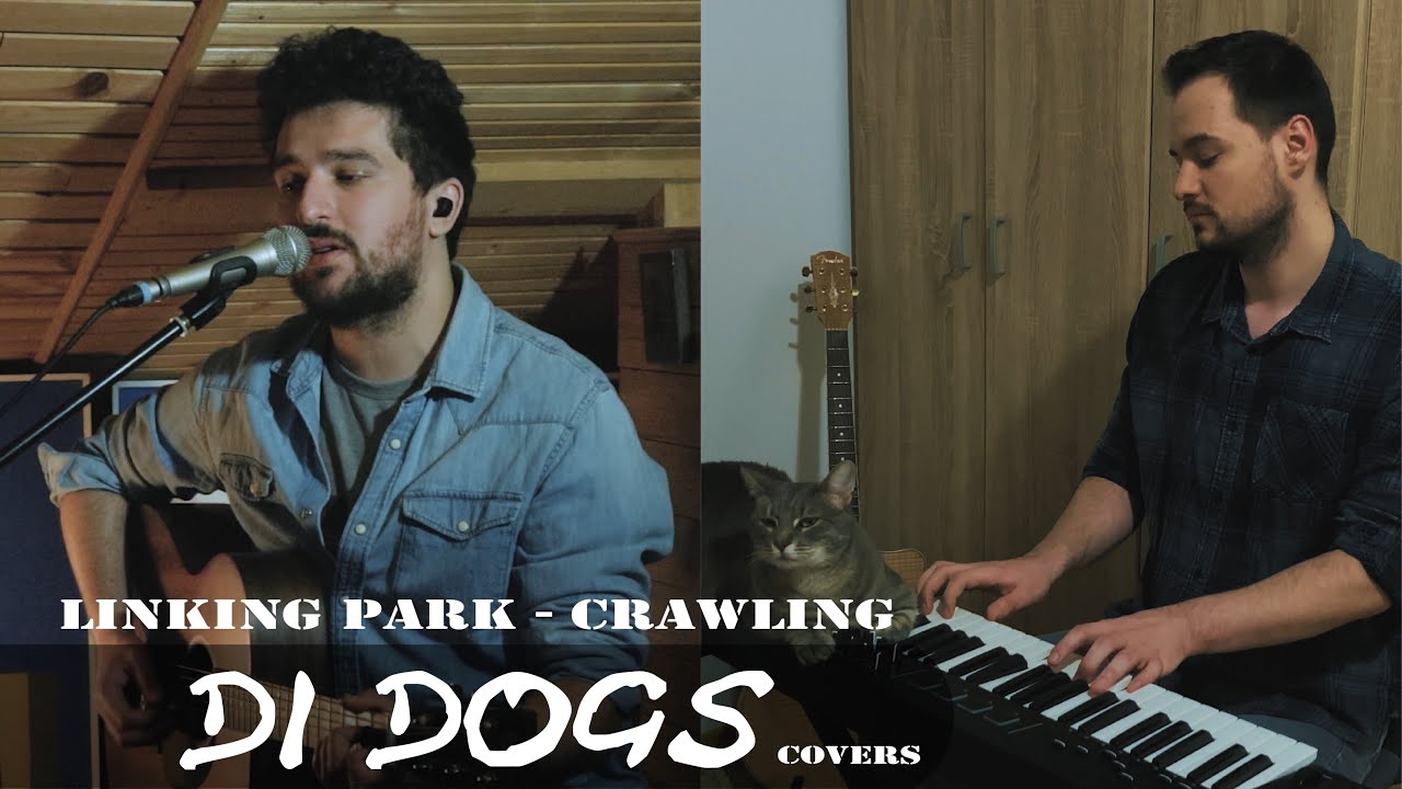Crawling - Linkin park (acoustic cover)