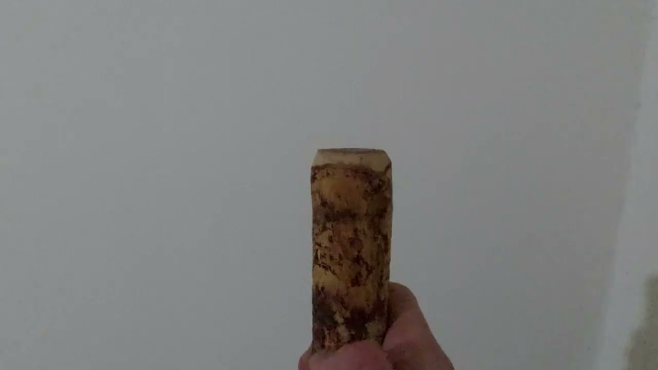 💚الصلاة 🌴 شاهد جمال عصا الشوم الأصلى( النبوت )