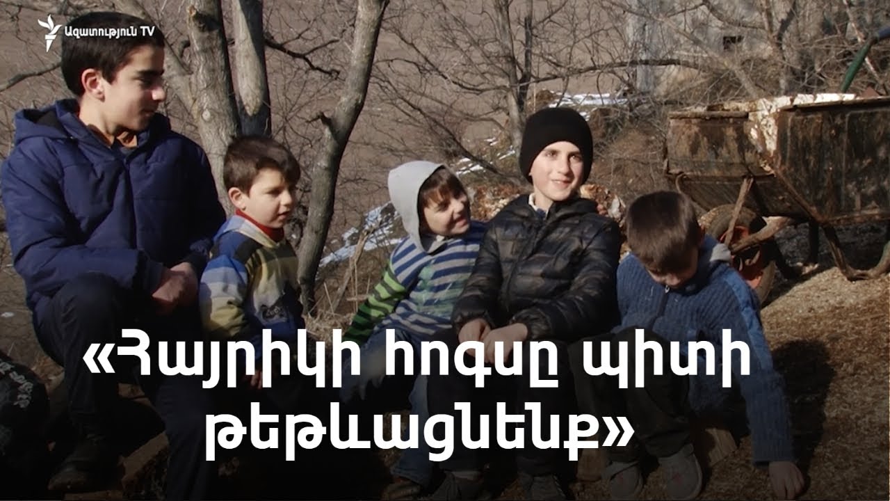 Բազմազավակ ընտանիքը տարակուսած է՝ կովերի քանակն ավելացնելուց միգուցե աղքատության նպաստից զրկվեն
