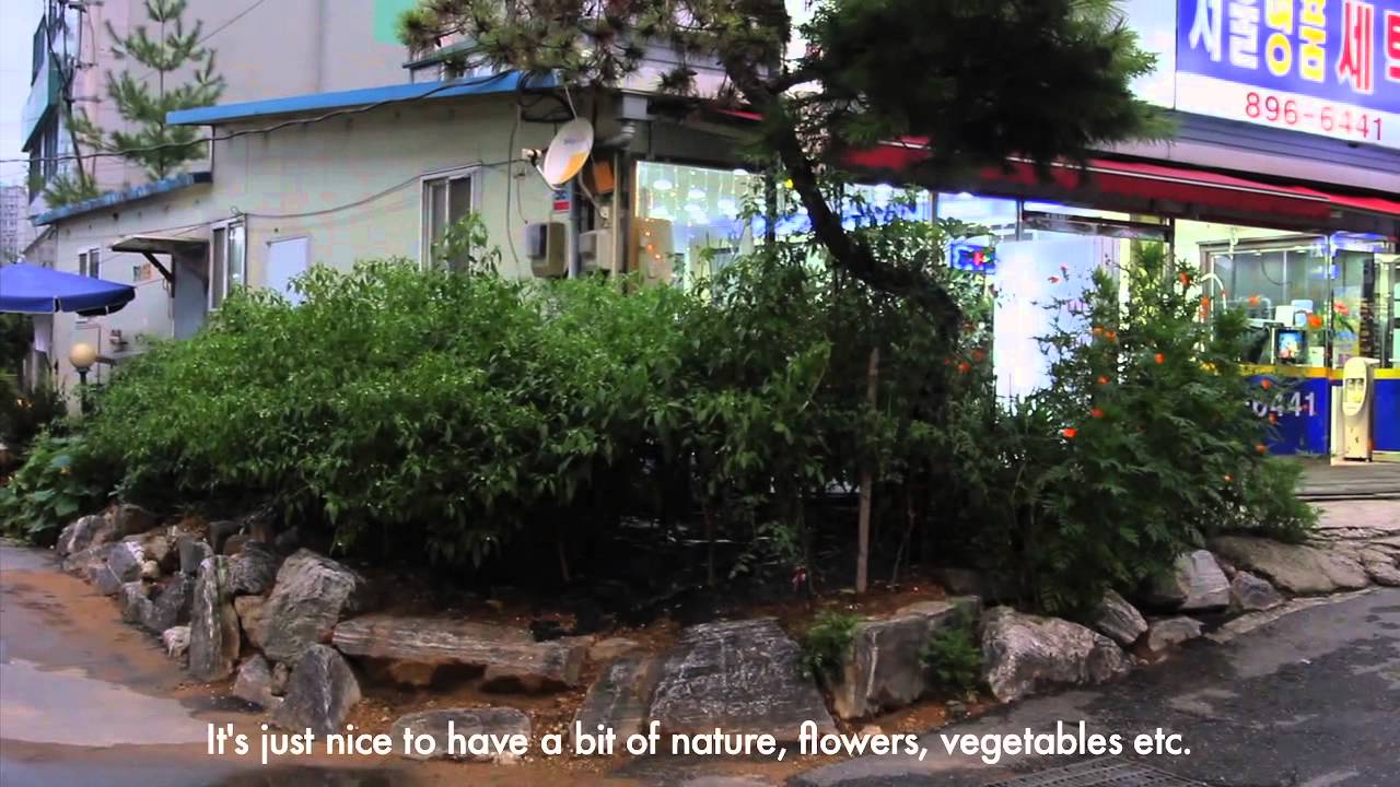 23 Korean Gardens