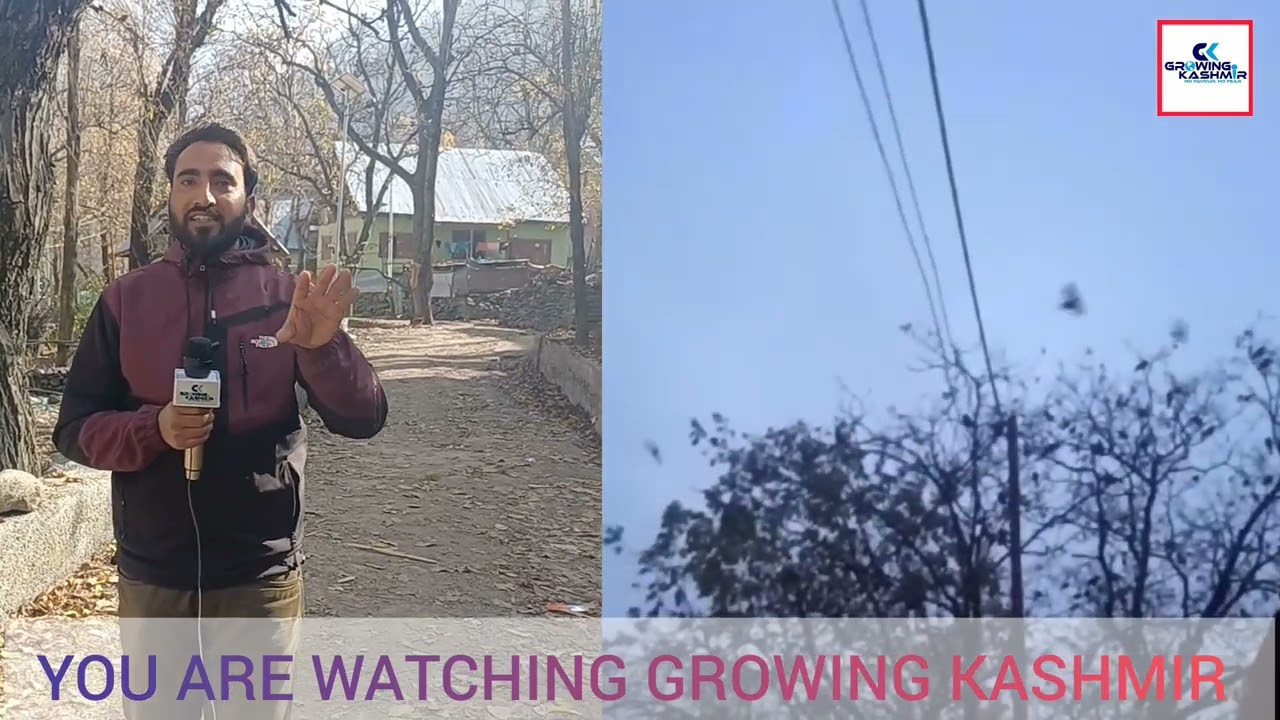 Surfraw village in ganderbal is also called crow's village why ?Watch interesting story of village.