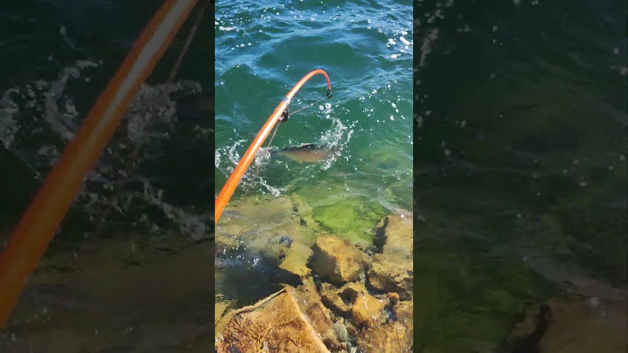 pesca de trucha 😃 patagonia argentina