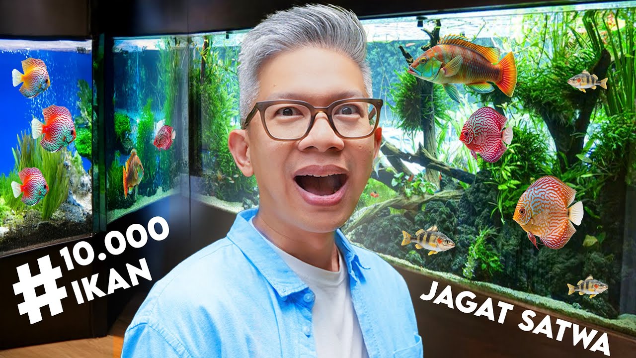 WAJAH BARU DUNIA IKAN AIR TAWAR TMII!!